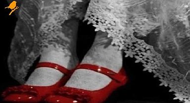 Acı tablo: 23 bin 735 çocuk anne oldu!