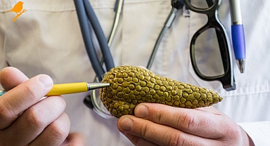 Pankreas kanseri ve belirtileri nelerdir?