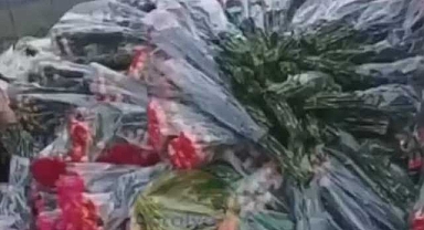 Yüzlerce demet çiçek böyle çöpe atıldı!