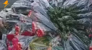 Yüzlerce demet çiçek böyle çöpe atıldı!