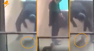 Esenyurt'ta küçük köpeğe saatlerce işkence yaptı!