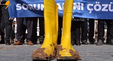 Ziraat mühendislerinden iktidara çağrı: 15 bin atama