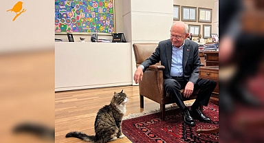 Kemal Kılıçdaroğlu'ndan Şero'ya yaş mama sözü